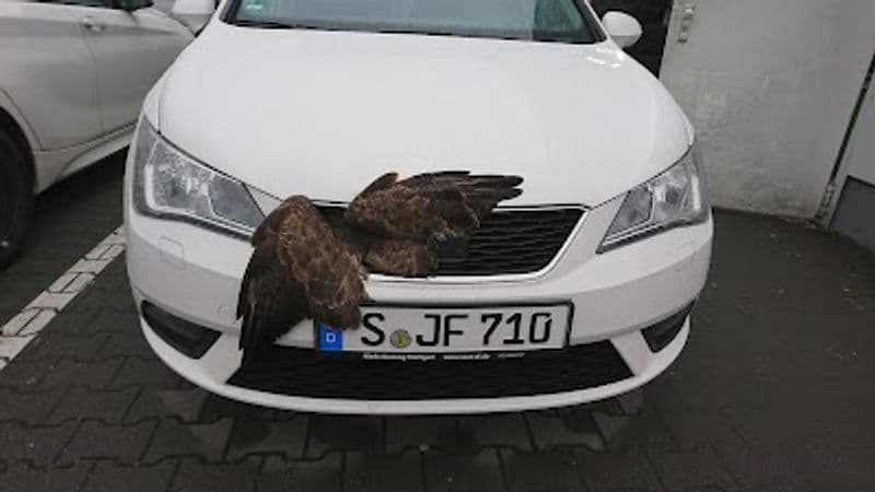 user-upload/business/work-media/a6e6cc9c654444939d0b2c583ef8237a.jpeg