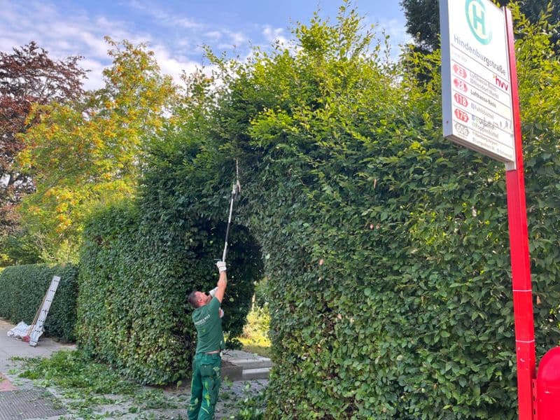 user-upload/business/work-media/f995xj470rujd46cqq9l3i_tauberger&wolf-gartenservice-gbr-.jpeg